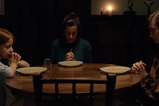Tarântula — still 2